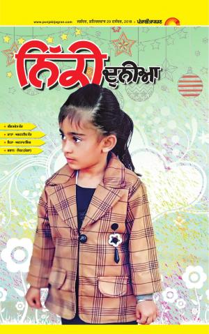 SUPPLEMENT : Punjabi jagran News : 29th December 2018