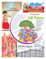 Karimnagar/siricilla/Jagityala