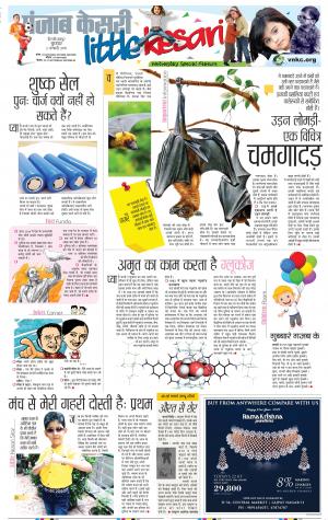 02-01-2019 Punjab Kesari Little Kesari