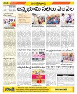 Krishna Constituencies