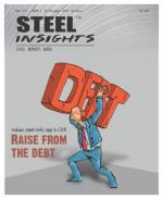 Steel Insights