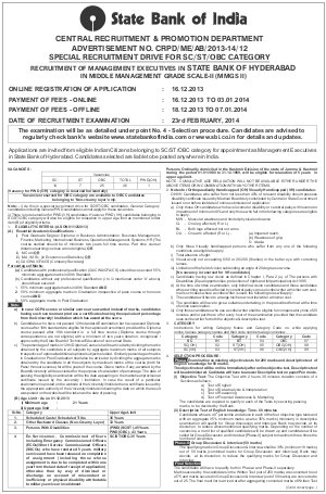 SBI Notified Special Recruitment Drive for Management Executives 2013-14