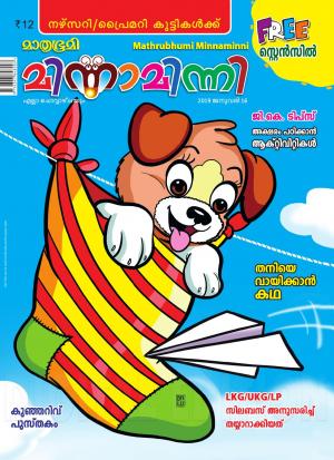 Minnaminni - 2019 January 16