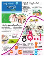 Bhadradri Kothagudem