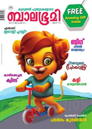 Balabhumi - 2019 January 25