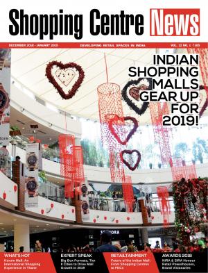 DECEMBER 2018 - JANUARY 2019