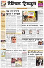 Dainik Tribune (Rohtak Edition)