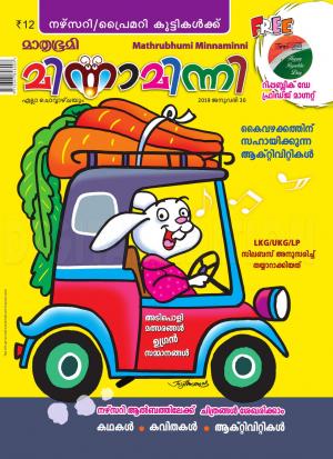 Minnaminni - 2019 January 30