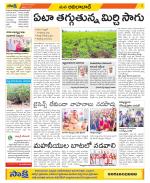 Adilabad Constituencies