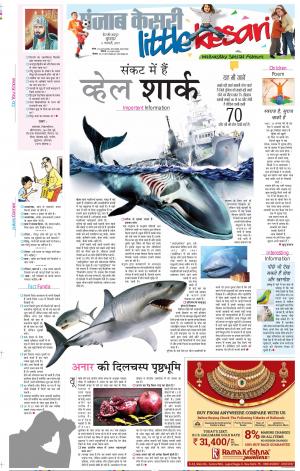 06-02-2019 Punjab Kesari Little Kesari