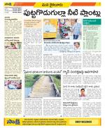 Krishna Constituencies