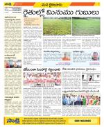 Krishna Constituencies