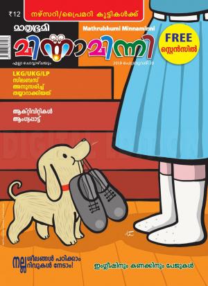 Minnaminni - 2019 February 20