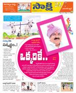 Hanamakonda District