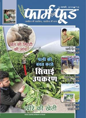 February Second 2019