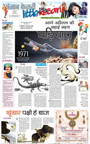 20-02-2019 Punjab Kesari Little Kesari