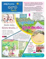 Bhadradri Kothagudem