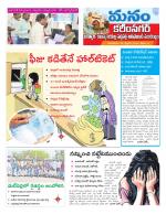 Karimnagar/siricilla/Jagityala