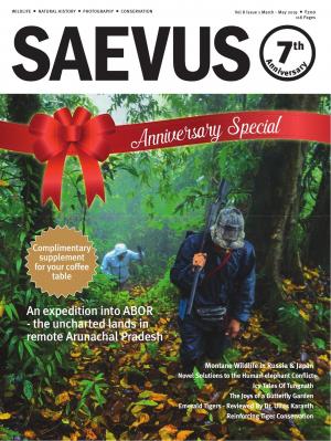 SAEVUS MARCH-MAY 2019