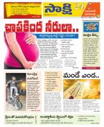 Jayashankar District