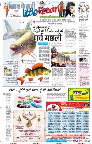 20-03-2019 Punjab Kesari Little Kesari