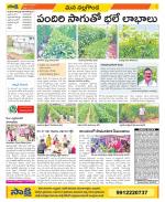 Nalgonda Constituencies