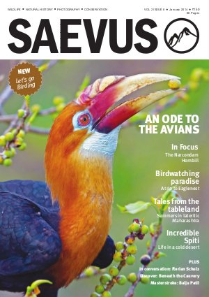 SAEVUS JANUARY 2014