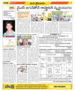 Krishna Constituencies