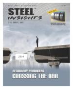 Steel Insights