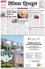 Dainik Tribune (Ambala Edition)