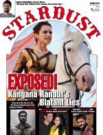 STARDUST AWARDS 2015