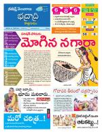 Bhadradri Kothagudem