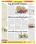 Hanamakonda Constituencies