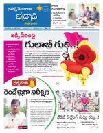 Bhadradri Kothagudem