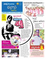 Bhadradri Kothagudem