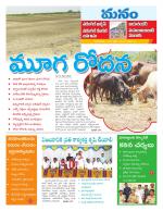 Warangal/Janagam/jayasankar/Mahaboobabad