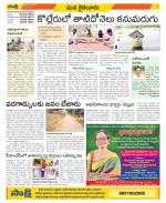 Krishna Constituencies