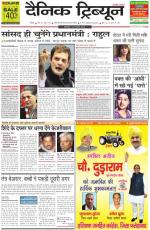 Dainik Tribune (Rohtak Edition)