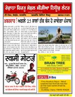 Firtu News