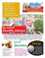Karimnagar/siricilla/Jagityala