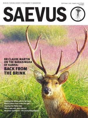 SAEVUS JUNE-AUGUST 19