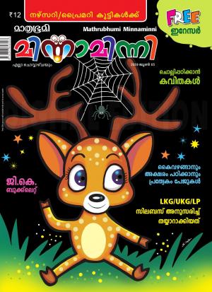 Minnaminni - 2019 June 5