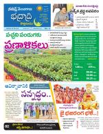 Bhadradri Kothagudem