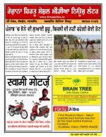 Firtu News