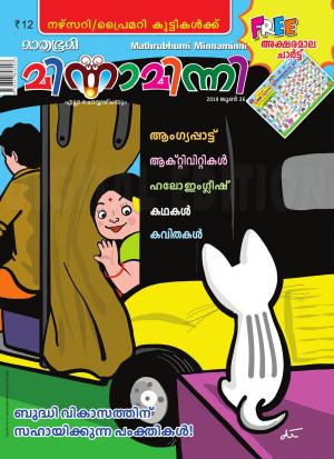 Minnaminni - 2019 June 26