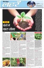 Dainik Tribune (Lehrein)