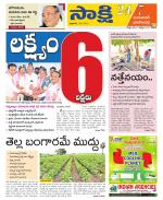 Jayashankar District