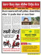 Firtu News