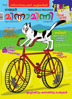 Minnaminni - 2019 July 24