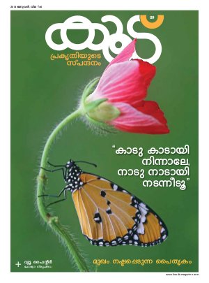 Koodu Magazine